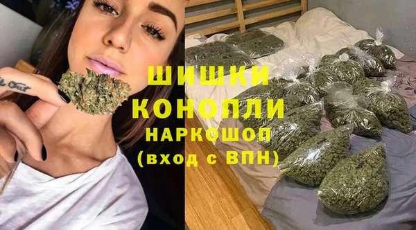 дживик Гусь-Хрустальный