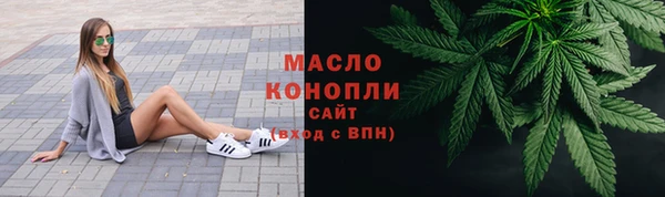дживик Гусь-Хрустальный