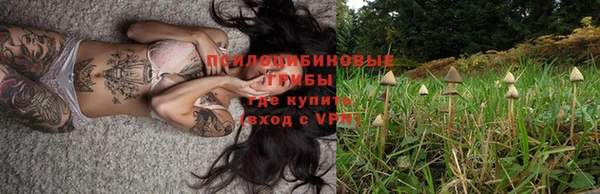 дживик Горняк