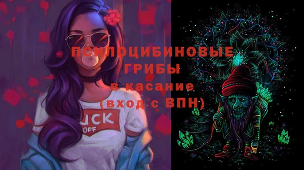 дживик Гусь-Хрустальный