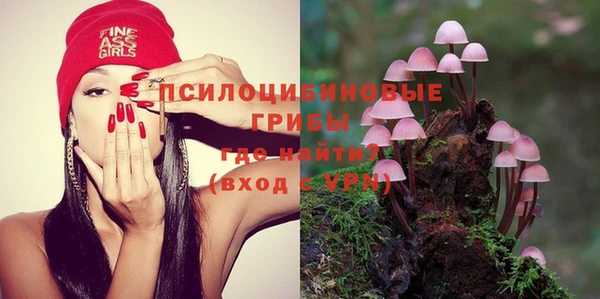 ALPHA-PVP Гусиноозёрск